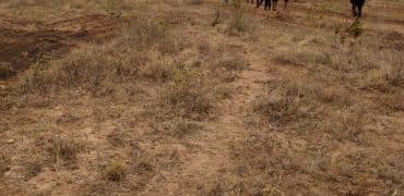 Wajir County - Plots for sale and housing opportunities