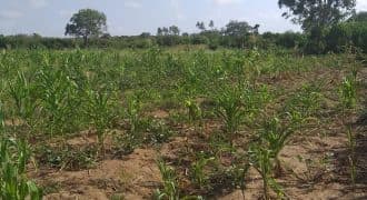 Tharaka-Nithi County landscape and property opportunities