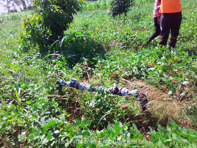 Embu County landscape and agriculture