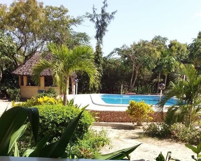 Best of Diani beach