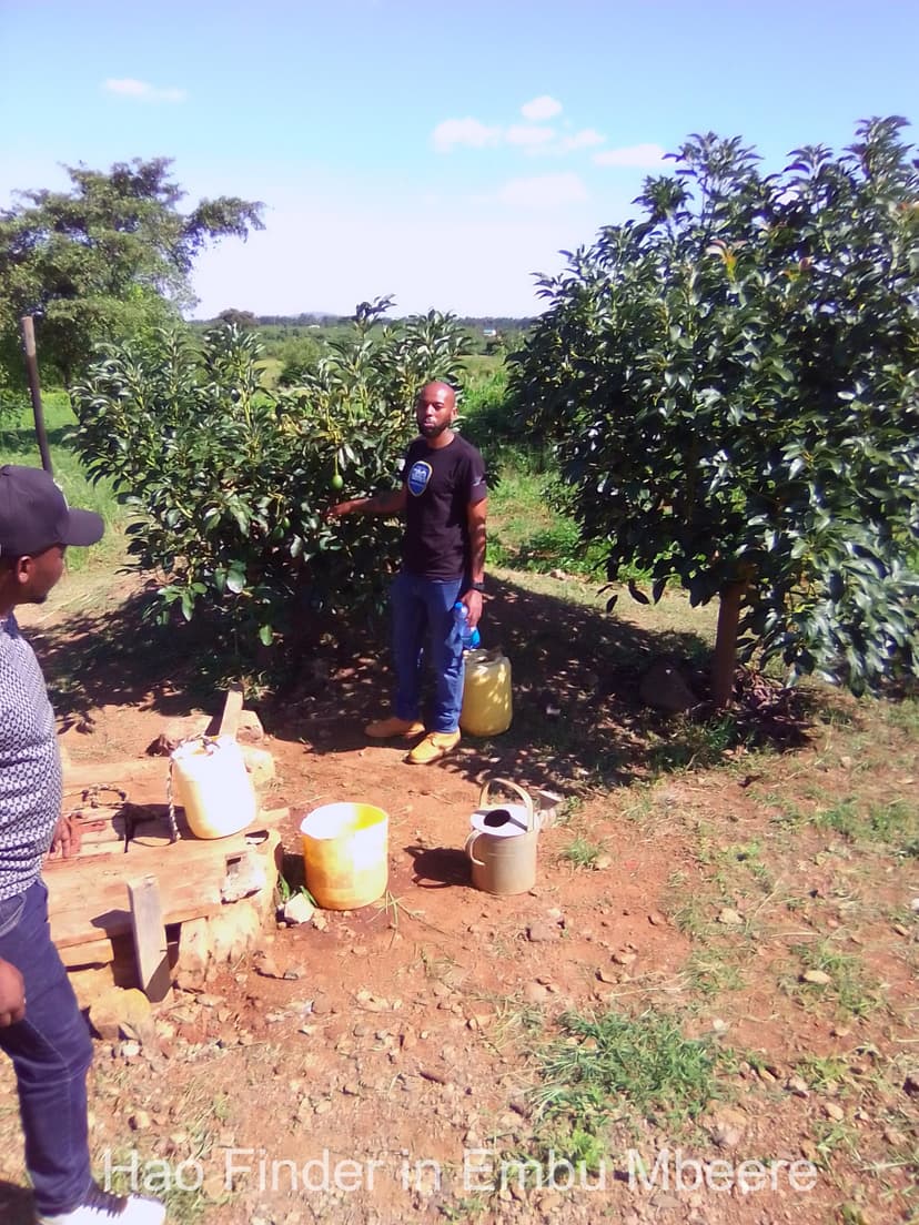 Agricultural activities in Embu County
