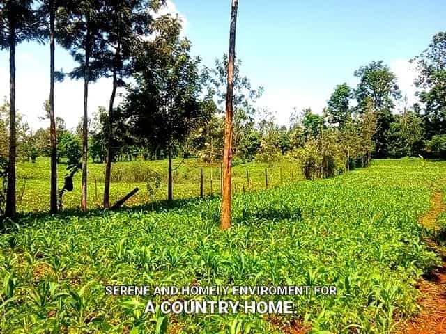 Elgeyo Marakwet County landscape and property guide