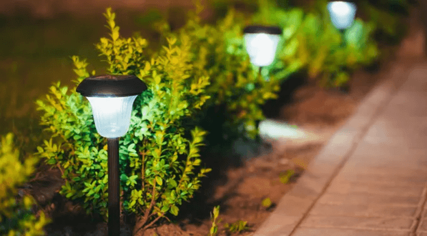 Solar lights in garden